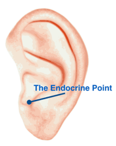 Acupuncture for Weight Loss The Endocrine Point